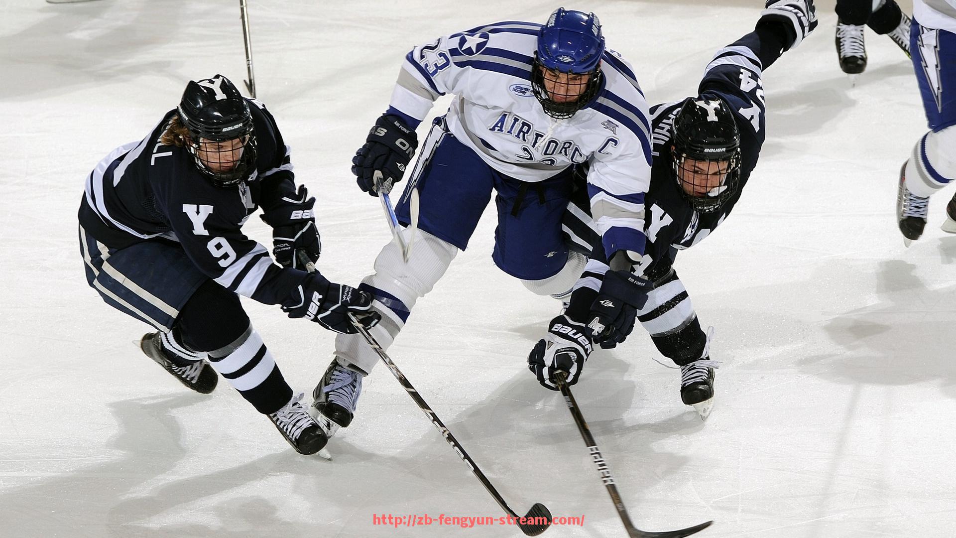 风云直播-本能牌健身器材产品特色及用户体验全面介绍